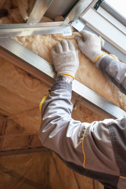Best Commercial Insulation in Meridianville, AL